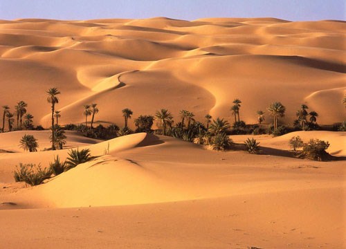 фон-пустыня
